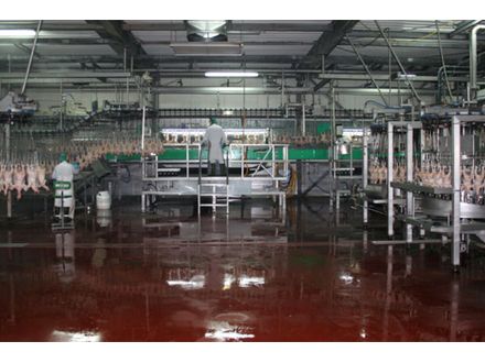 GPS poultry slaughterhouse