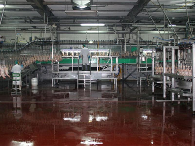GPS poultry slaughterhouse