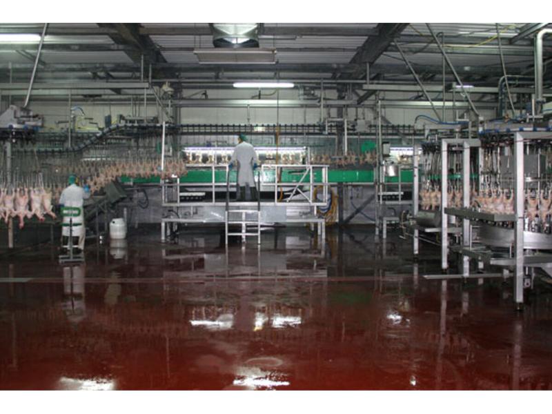 GPS poultry slaughterhouse