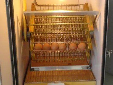 Incubators